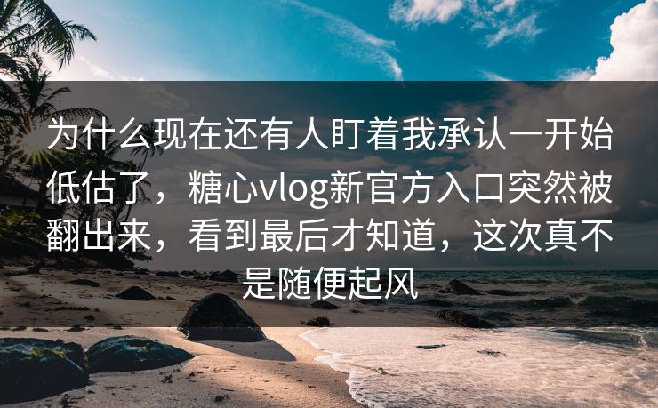 为什么现在还有人盯着我承认一开始低估了，糖心vlog新官方入口突然被翻出来，看到最后才知道，这次真不是随便起风