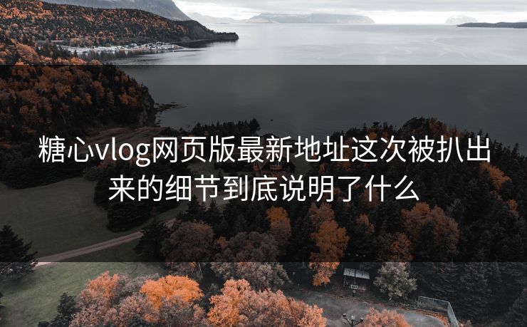 糖心vlog网页版最新地址这次被扒出来的细节到底说明了什么  第1张