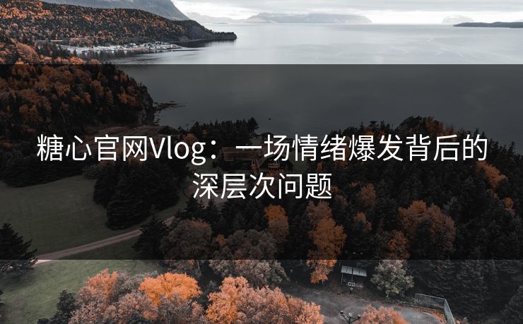 糖心官网Vlog：一场情绪爆发背后的深层次问题