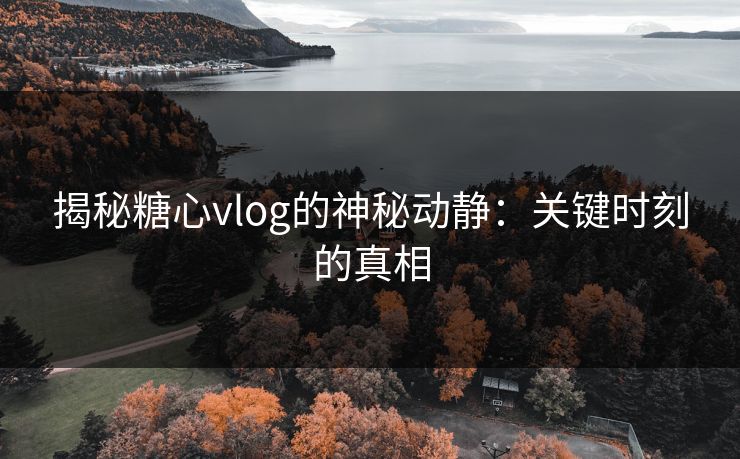 揭秘糖心vlog的神秘动静：关键时刻的真相  第1张
