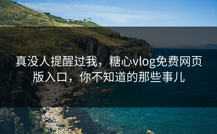 真没人提醒过我，糖心vlog免费网页版入口，你不知道的那些事儿