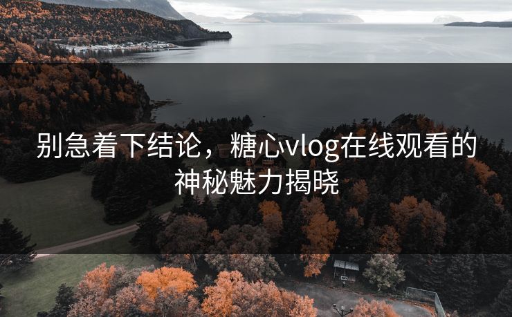 别急着下结论，糖心vlog在线观看的神秘魅力揭晓