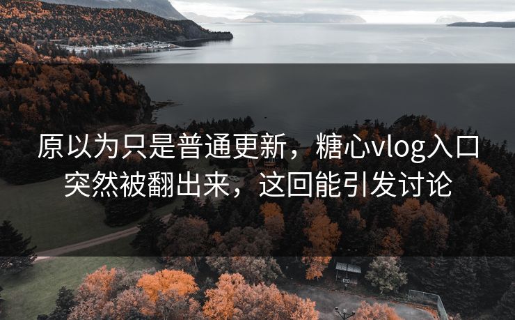 原以为只是普通更新，糖心vlog入口突然被翻出来，这回能引发讨论