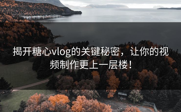 揭开糖心vlog的关键秘密，让你的视频制作更上一层楼！