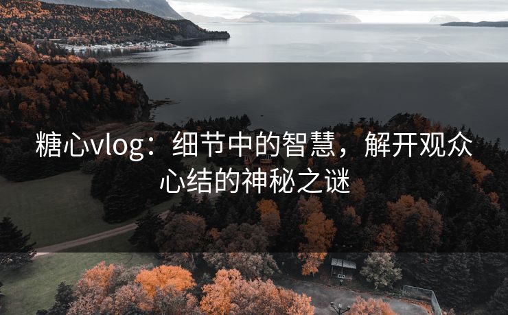 糖心vlog：细节中的智慧，解开观众心结的神秘之谜  第1张