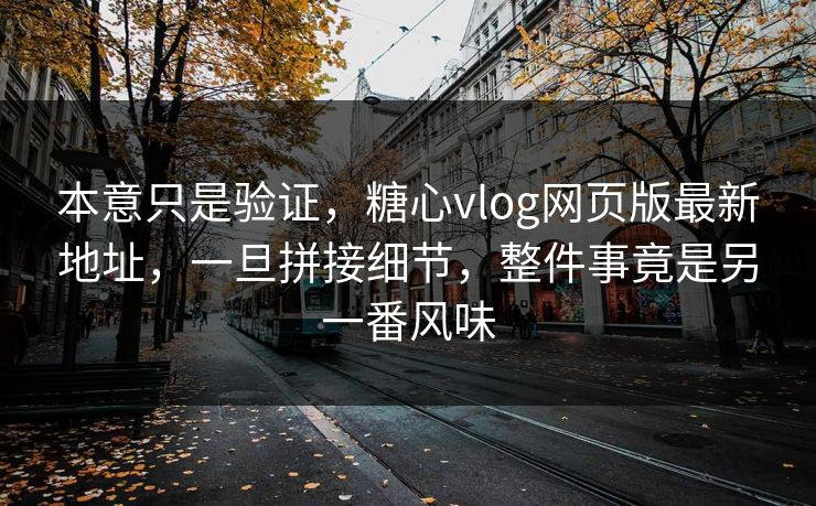 本意只是验证,糖心vlog网页版最新地址,一旦拼接细节,整件事竟是另一番风味