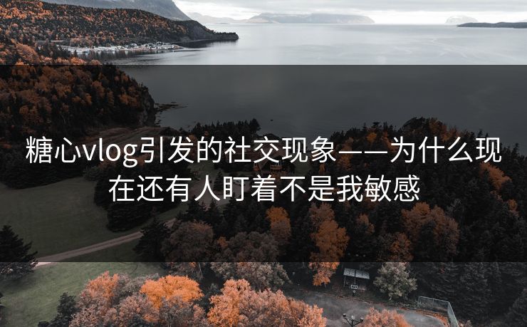 糖心vlog引发的社交现象——为什么现在还有人盯着不是我敏感