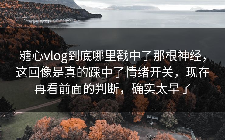 糖心vlog到底哪里戳中了那根神经，这回像是真的踩中了情绪开关，现在再看前面的判断，确实太早了