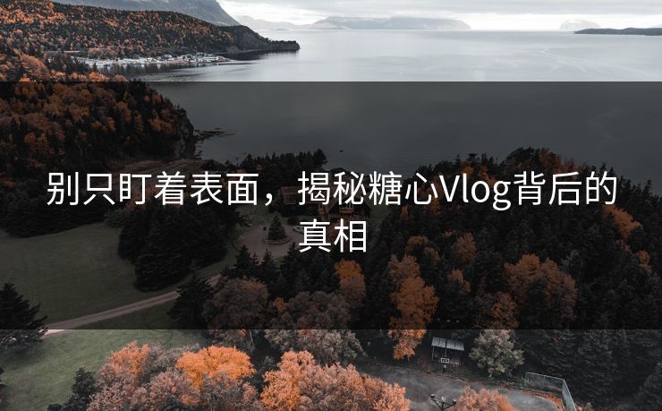 别只盯着表面，揭秘糖心Vlog背后的真相