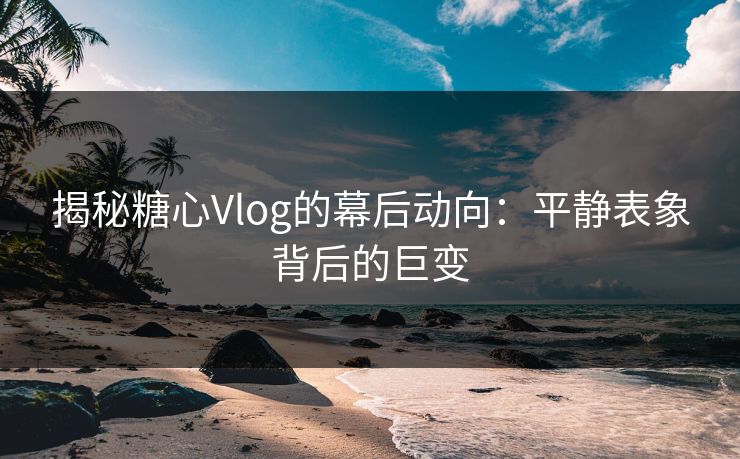 揭秘糖心Vlog的幕后动向：平静表象背后的巨变  第1张