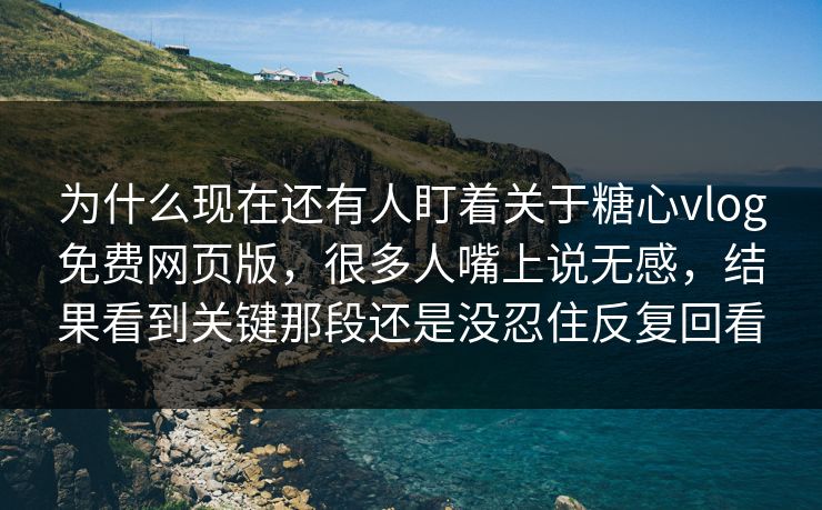 为什么现在还有人盯着关于糖心vlog免费网页版,很多人嘴上说无感,结果看到关键那段还是没忍住反复回看
