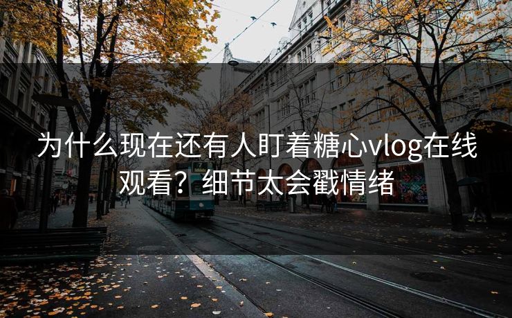 为什么现在还有人盯着糖心vlog在线观看?细节太会戳情绪