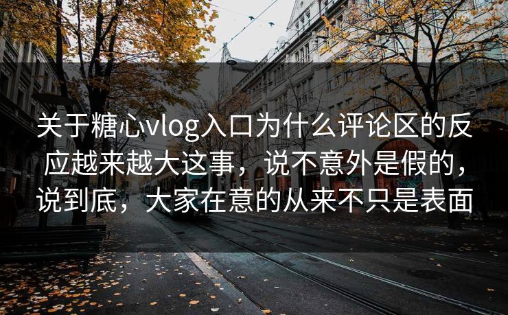关于糖心vlog入口为什么评论区的反应越来越大这事,说不意外是假的,说到底,大家在意的从来不只是表面