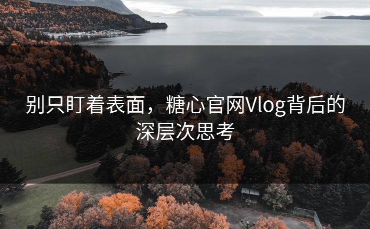 别只盯着表面,糖心官网Vlog背后的深层次思考
