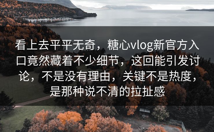 看上去平平无奇,糖心vlog新官方入口竟然藏着不少细节,这回能引发讨论,不是没有理由,关键不是热度,是那种说不清的拉扯感